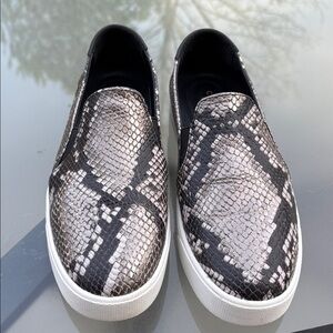 Cole Haan Snake-Print Slip-On Sneakers in Black & Silver